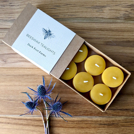 Set of 6 - Beeswax Tealight Candles -Gift Box